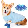 Adiwo Maglione per Animali Domestici Caldo, Vestiti Morbidi Con 4 Pezzi Calzini Antiscivolo, Adatto a Cani di Piccola, Media (XL, Blu)