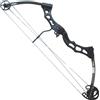 ROYAL Arco Compound 60-65 Libbre Carbonio Royal CO 011CB