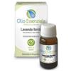 ERBORISTERIA MAGENTINA SRL Erboristeria Magentina Lavanda Olio Essenziale Integratore Pelle 10 Ml