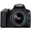 CANON - EOS 250D + EF-S 18-55mm f / 3.5-5.6 III Kit fotocamere SLR 24,1 MP CMOS 6000 x 4000 Pixel Nero