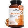 Bandini® Cordyceps Sinensis 19.500 mg, 270 Capsule (Estratto CS-4 10:1)