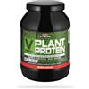 Enervit Gymline Vegetal Plant Protein Blend Cacao