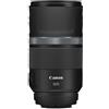 Canon RF 600mm f11 IS STM.