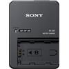 Sony BC-QZ1