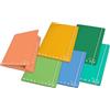 Pigna, Cartella portadocumenti con elastico MONOCROMO GREEN, dorso 1,2, formato 26x35,5 cm., pacco da 6 pezzi
