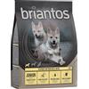 Briantos Junior Pollo & Patate - senza cereali Crocchette per cani - 1 kg