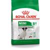 Royal Canin - Mini Adult 8+ per cani maturi - 800 gr