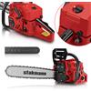STAKMANN Motosega a scoppio Benzina 2 Tempi 52 cc Lama 50 cm Taglia Legna Rami EasyStart