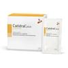 Catidral Plus Buste 30
