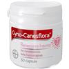 Gyno-Canesflora Benessere Intimo, Integratore Orale Per Donna, a Base di Lactobacilli e Vitamina B2, Probiotici Donna Flora Intima Vaginale, 30 Capsule
