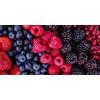 Pintdecor Quadro FRUTTI DI BOSCO G1870 PINTDECOR