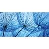 Pintdecor Quadro RUGIADA G1900 PINTDECOR