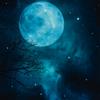 Pintdecor Quadro LUNA AZZURRA G2178 PINTDECOR