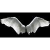 Pintdecor Quadro ALI D'ANGELO G2216 PINTDECOR