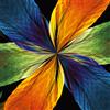 Pintdecor Quadro PIUME G2222 PINTDECOR