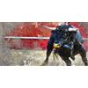 Pintdecor Quadro TORO NELL'ARENA G2236 PINTDECOR