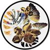 Pintdecor Quadro COMPOSIZIONE GT6158 PINTDECOR