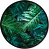 Pintdecor Quadro GIUNGLA GT6206 PINTDECOR