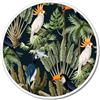 Pintdecor Quadro PAPPAGALLI GT6260 PINTDECOR