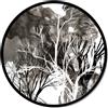 Pintdecor Quadro NUBE SULLO SFONDO GT6470 PINTDECOR