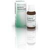 Guna HEEL BERBERIS HOMACCORD GOCCE 30 ML