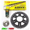 DID KIT TRASMISSIONE PIGNONE CATENA CORONA ERGAL NERA DUCATI Multistrada 950 2020