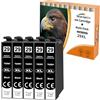 Starlet24 Cartucce per stampante nere 29XL compatibili con inchiostro Epson T2991 29 XL nero per Expression Home XP-342 XP-332 XP-345 XP-442 XP-445 XP-432 XP-245 XP-235 XP-335 XP-435 XP-247 (confezion