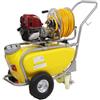 GeoTech SP 540 4S - Pompa irroratrice a scoppio carrellata - 4 tempi a benzina