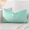 Artscope Federe Cuscini in Velluto Minimalista Copricuscino Colorato per la Decorazione Domestica Soggiorno Camera da Letto Divano 30x50cm, Verde Acquatico