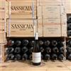 Bastianich Pinot Bianco 2023 Colli Orientali del Friuli DOC