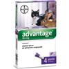Advantage Spot On 0,8ml Trattamento Pulci Conigli E Gatti 4 Pipette