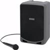Samson Expedition XP106 - PA Sistema audio portatile Bluetooth 100w