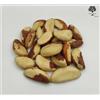 AgoraMarket Noci Secche del Brasile 40g - 1,95Kg | Bertholletia excelsa