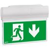 Linergy Lampada Emergenza Linergy SE/SA 1H soffitto bandiera LV1201