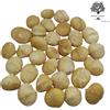 AgoraMarket Noci di Macadamia Crude 40g - 1,95Kg Qualità Premium