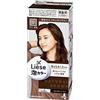 Liese Kao | Liese Prettia AWA Hair Color KAMI IRO MODOSHI | Natural Brown by Prettia