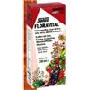 Salus Haus Gmbh & Co Kg Floravital Integratore Di Ferro Con Vitamine Soluzione Orale 250ml