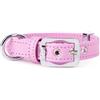 MyFamily Collare per Cani in Vera Pelle Glicine Hermitage con Finiture in Bronzo Bianco, m-35-41cm
