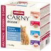 animonda Carny Ocean 12 x 80 g Pacco misto Umido per gatto - Mix 1: 3 diverse varianti Tonno + Salmone & Bianchetti