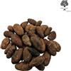 AgoraMarket Fave Di Cacao Tostate 85g - 1,95Kg Qualità Premium Cacao Theobroma