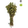 AgoraMarket Certificato Biologico Origano Di Montagna Mazzo Greco Origanum vulgare