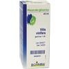 Vitis BOIRON® Vitis Vinifera Macerato Glicerico 60 Ml ml Gocce