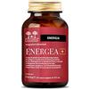 Salugea ENERGEA+ Salugea - Integratore Energizzante 100% Naturale - Con Spirulina, Shilajit, Pappa Reale, Ginseng - 60 capsule vegetali - Flacone In Vetro Scuro