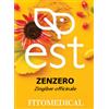 FITOMEDICAL Snc di Moretti G. ZENZERO ESTRATTO SECCO 60 TAVOLETTE