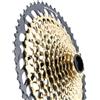 Sram CASSETTA PIGNONI MTB SRAM XX XG-1299 GOLD 10-50 12V