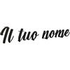 VENEZIANO Gruppo Scritta in plexiglass Personalizzata 30-40-50-75 cm - Nome in plexiglass specchiato Personalizzato - Altezza Massima 15cm Spessore 3 mm - 100% Made in Italy