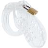 Hidden Desire Extreme Chastity Cock Cage Acrylic
