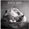 DRAEGER PARIS 1886 - Grande Calendario da parete 29x29 cm 2025-7 lingue - Settembre 2024 a dicembre 2025-12 fotografie disponibili in diversi temi - Gatti in bianco e nero - Nota appuntamento