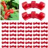 mohito 60 Pezzi Piegatrici per Piante, Piegatrice per Piante a 90 Gradi, Clips Piegatrici per Piante, Adatte per Piegare Gli Steli delle Piante e Cambiare la Direzione di Crescita
