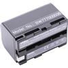 vhbw batteria sostituisce Sony NP-FS33, NP-FS31, NP-FS30, NP-FS22, NP-FS21 per videocamera camcorder (2000mAh, 3,6V, Li-Ion)